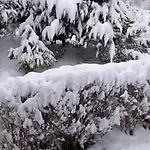 アパート Monteur- Und Waldrauschen *