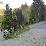 Monteur- Und Waldrauschen