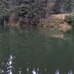 Monteur- Und Waldrauschen Fehrenbach