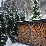 Monteur- Und Waldrauschen