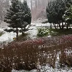 Monteur- Und Waldrauschen