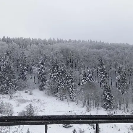 Monteur- Und Waldrauschen Apartman Fehrenbach