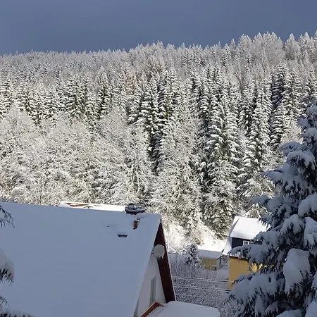Monteur- Und Waldrauschen Apartman *