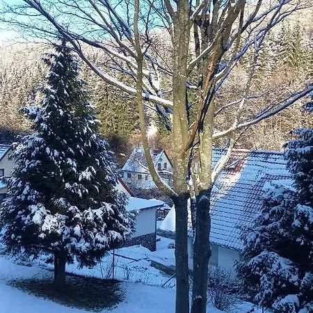 Monteur- Und Waldrauschen * Fehrenbach