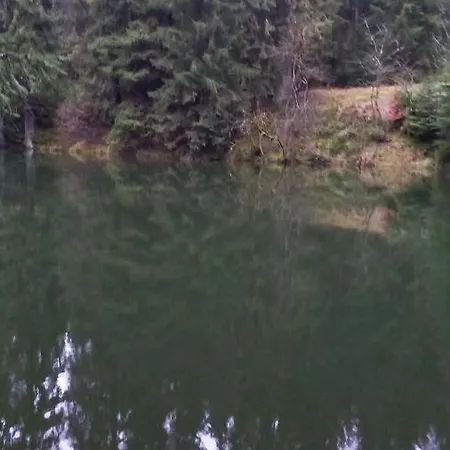 Monteur- Und Waldrauschen Fehrenbach