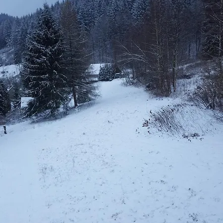 Monteur- Und Waldrauschen *