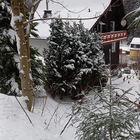 Monteur- Und Waldrauschen