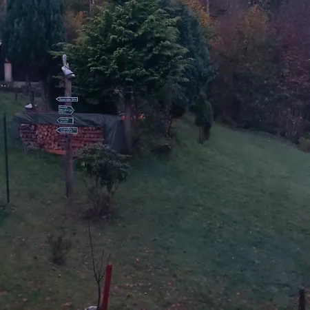 Monteur- Und Waldrauschen *