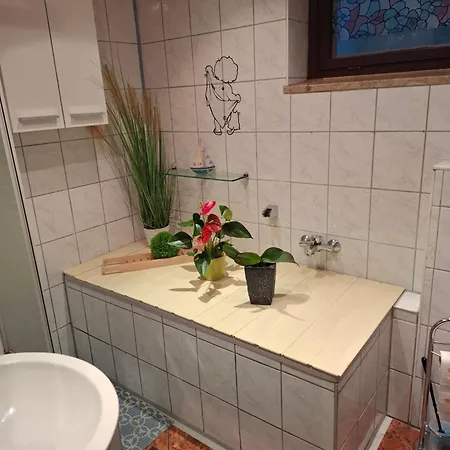 Monteur- Und Waldrauschen * Fehrenbach