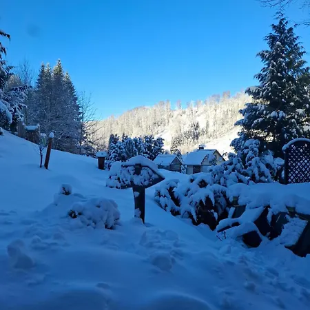 Monteur- Und Waldrauschen * Fehrenbach