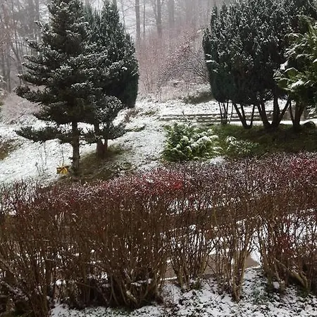 Monteur- Und Waldrauschen