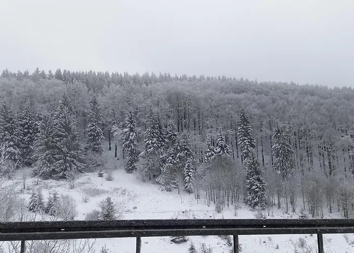 Monteur- Und Waldrauschen アパート Fehrenbach