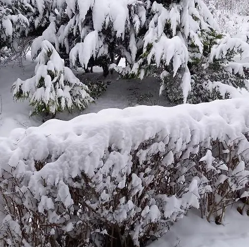 Appartement Monteur- Und Waldrauschen *