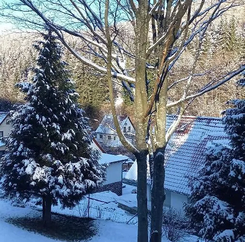 Monteur- Und Waldrauschen * Fehrenbach