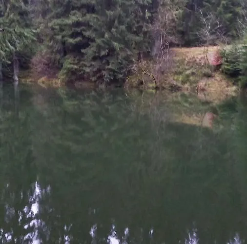 Monteur- Und Waldrauschen Fehrenbach