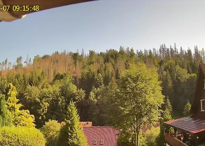 アパート Monteur- Und Waldrauschen