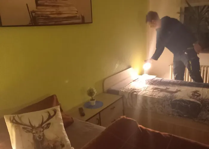 アパート Monteur- Und Waldrauschen Fehrenbach