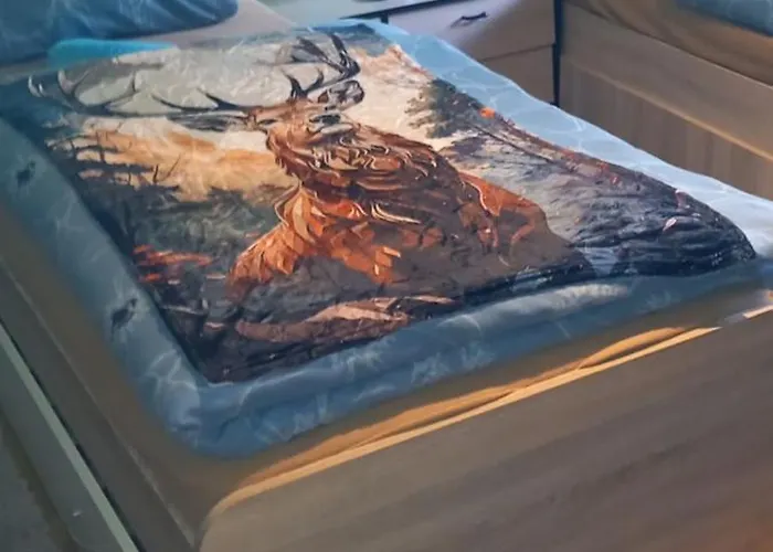 Monteur- Und Waldrauschen Fehrenbach