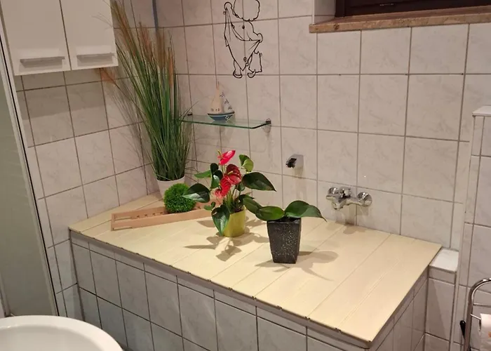 Monteur- Und Waldrauschen * Fehrenbach