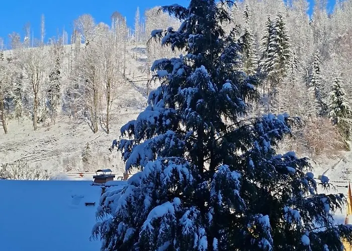 アパート Monteur- Und Waldrauschen *