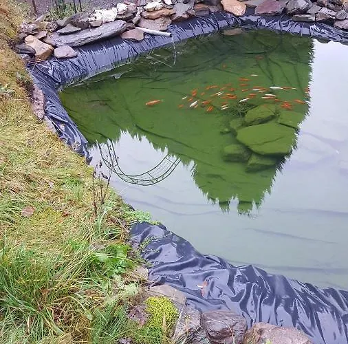 Monteur- Und Waldrauschen