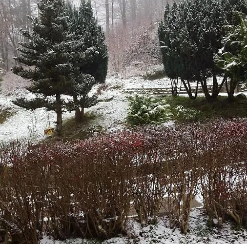 Monteur- Und Waldrauschen